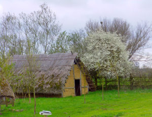 Slawenhaus in Penkun-Flohmarkt