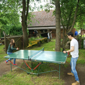 Tischtennis 1